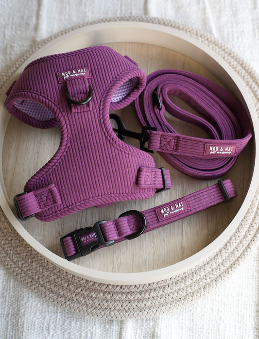 ‘Frosted Plum’ 3 Piece Walkies Set