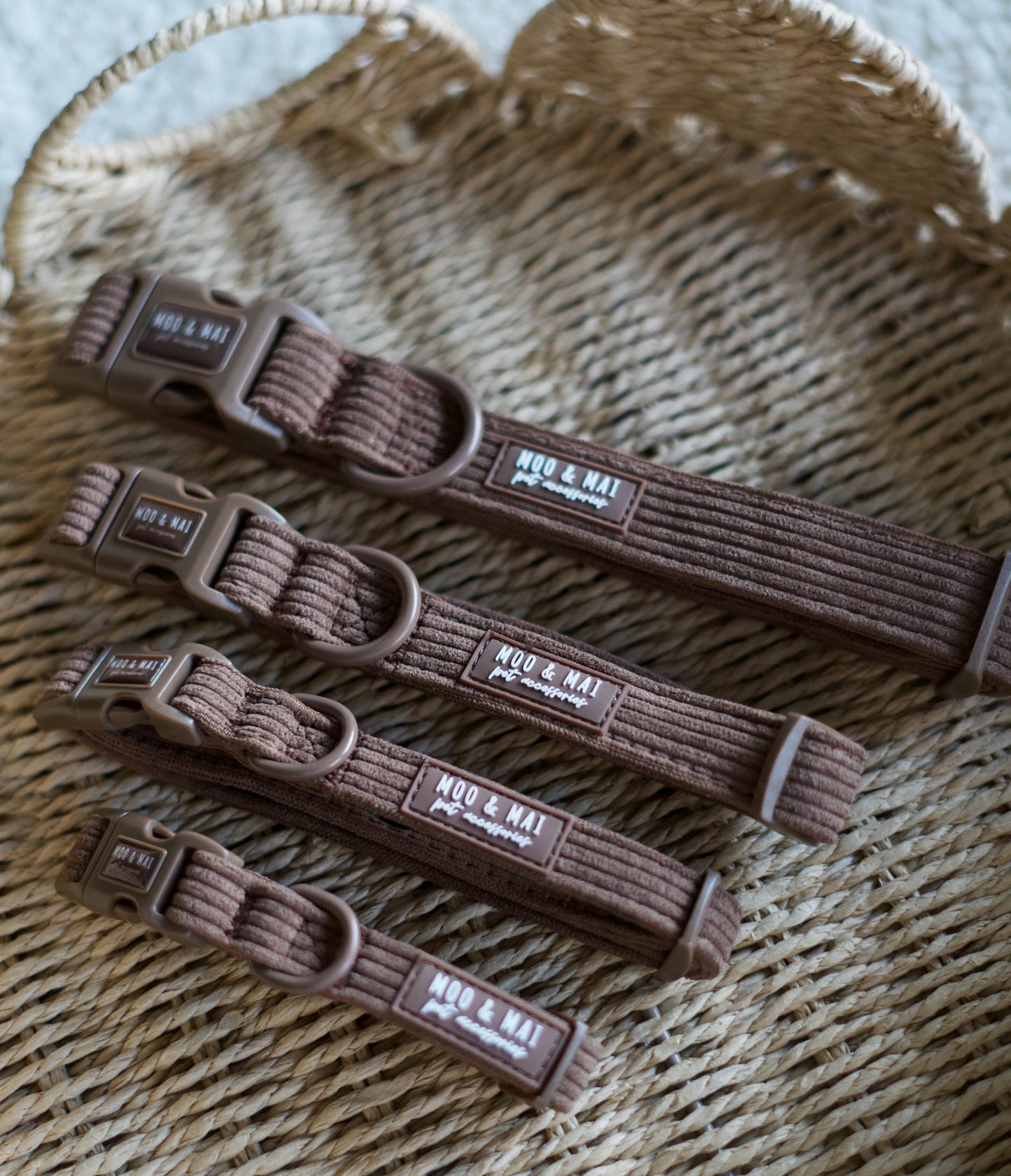 ‘Choc Chip’ 3 Piece Essentials Walkies Set