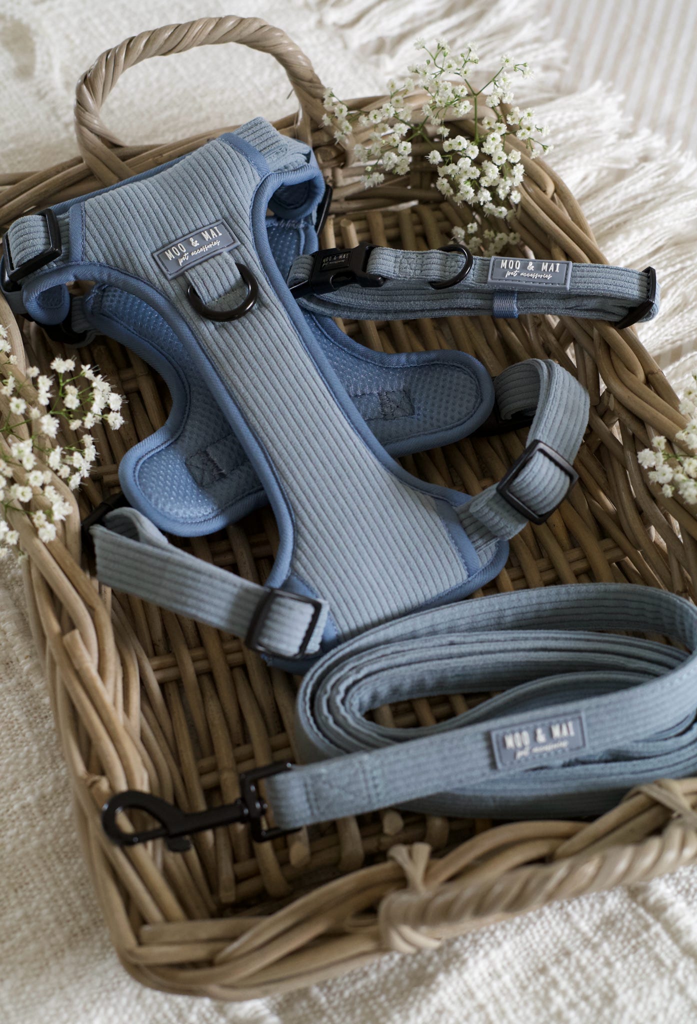 'Seasalt Blue' - 3 Piece Walkies Bundle